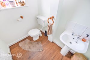 Photo 10- click for photo gallery